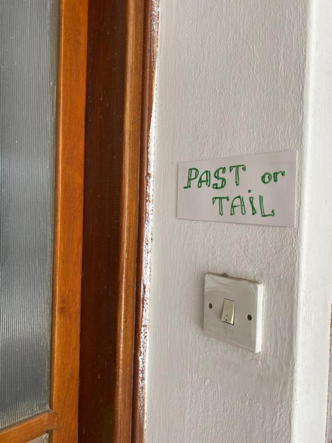Past Or Tail Rooms Lárnaka Eksteriør bilde